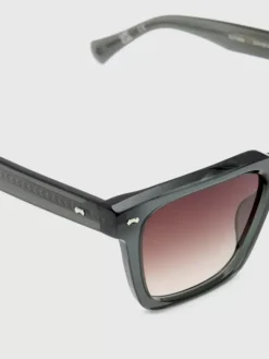 Eyewear><noscript><img width=